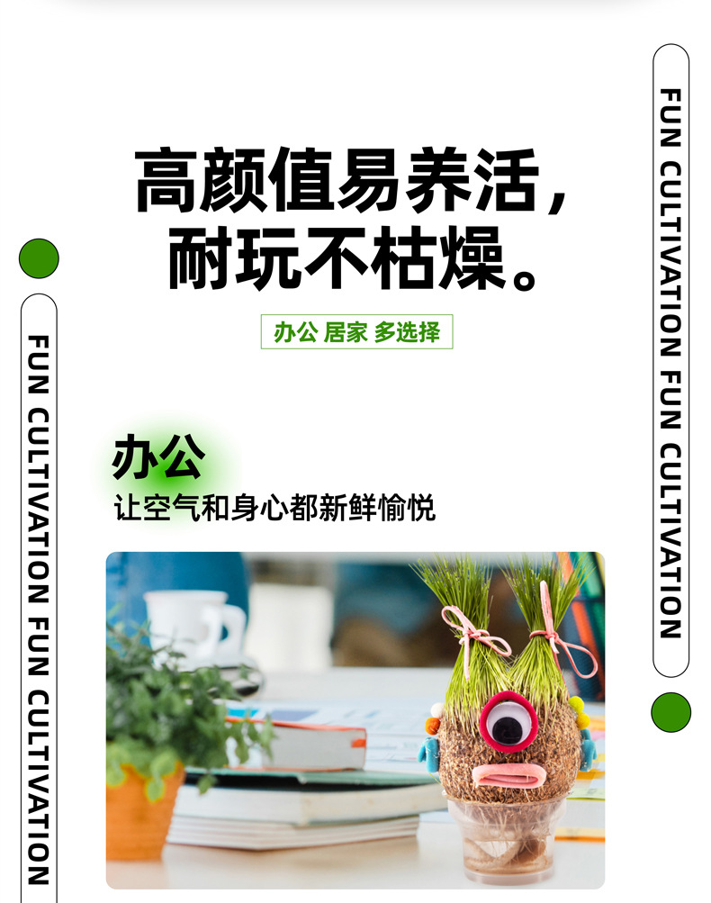 神奇袜草详情01 (7).jpg