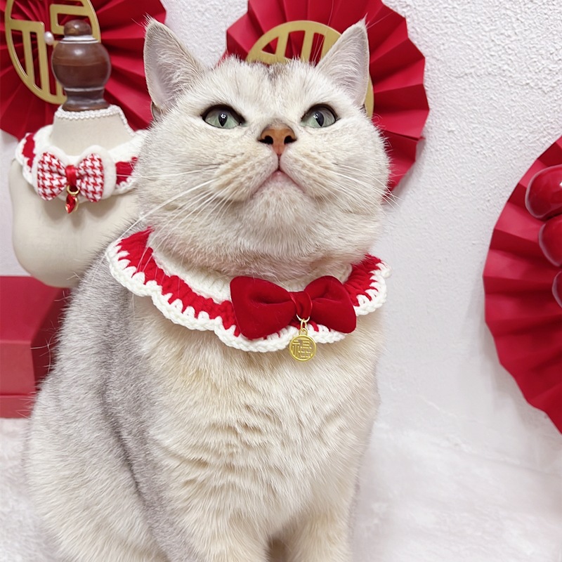 IMG_7698(20231103-232919)_副本