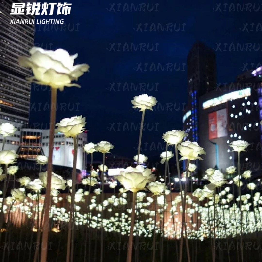 O1CN01JPO8H91shXQj3K2539041579