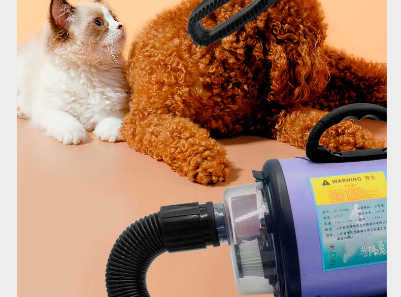 580372c1-ca08-41c5-a327-d34d946efe83.jpe