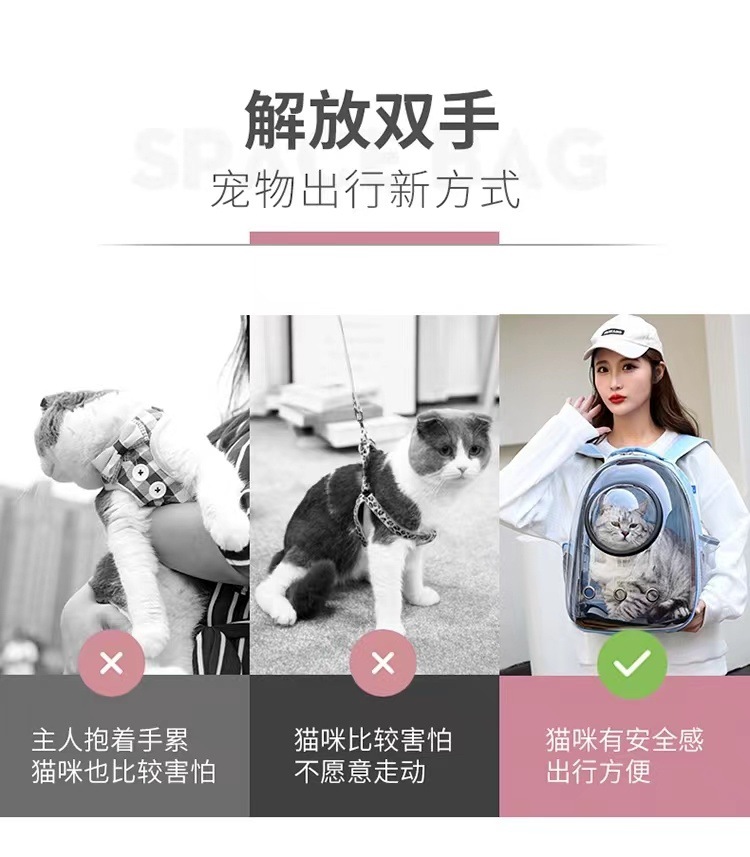 afb33df0-4a2a-493d-b3e2-5a8e49ce247c.jpe