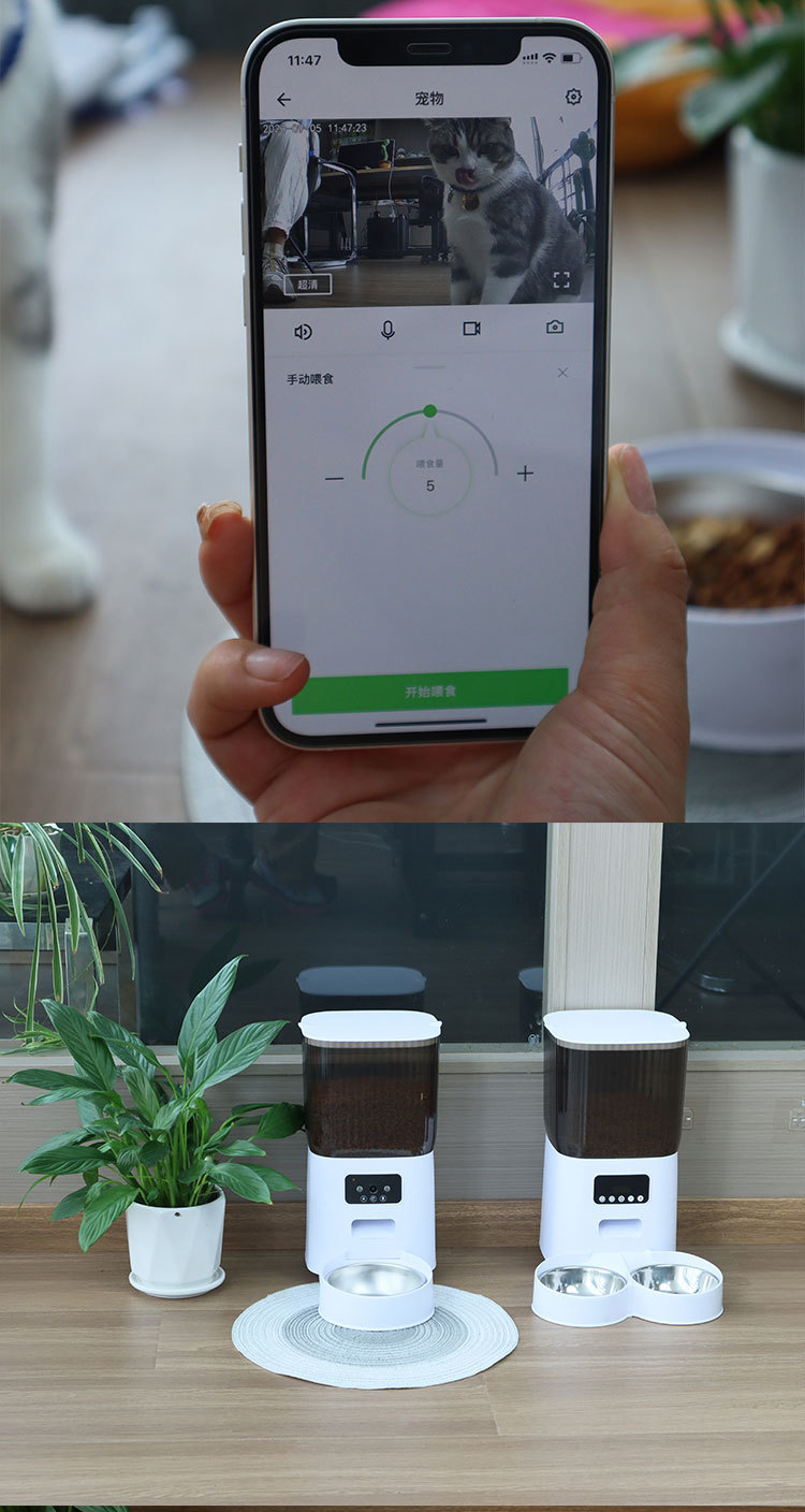 44a768ef-b09b-412b-a6c1-4e787a272277.jpe