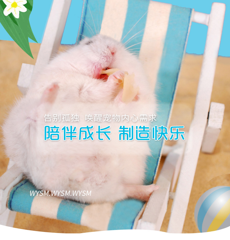 玩具大集合-详情页_01.jpg