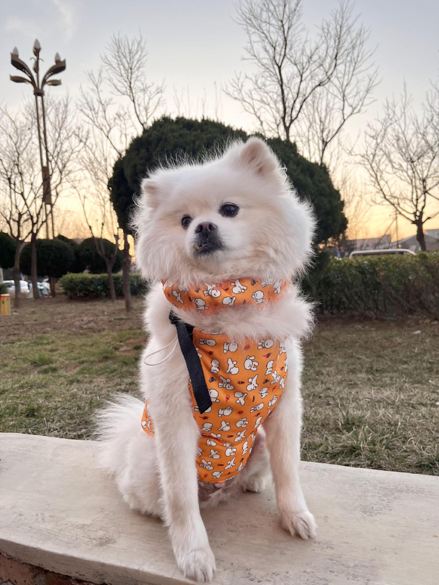 2024_03_30_18_03_IMG_1205