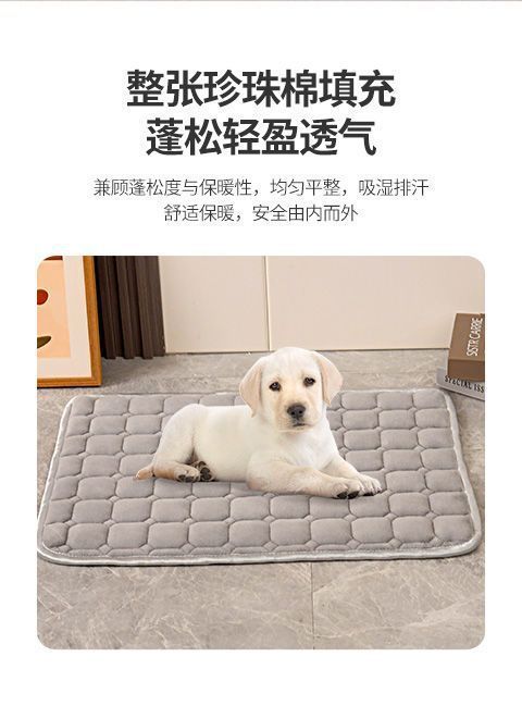 37c4ce5f-893c-47b5-a0e9-264468758fca.jpe