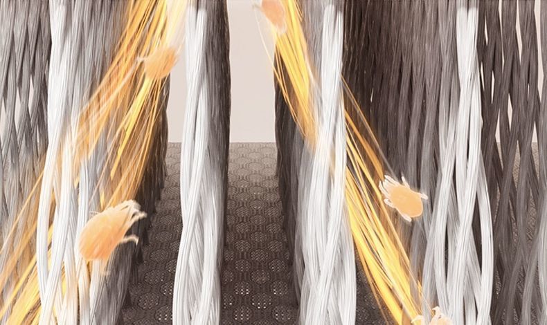 85f3cdb8-25cc-42d0-8131-8997a312b1b9.jpe