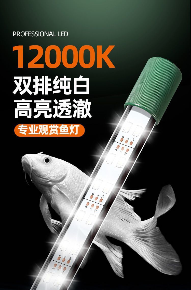 d8d4d884-ec8b-4dc0-b037-7ad9a197b013.jpe