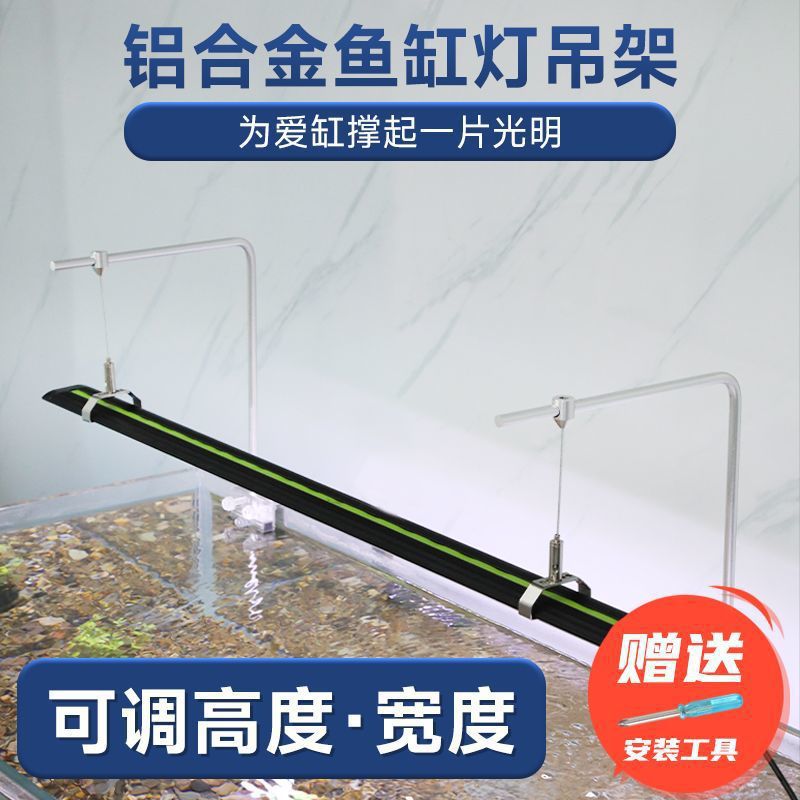 67c33b83-8e19-4893-8650-35f5b78bb363.jpe