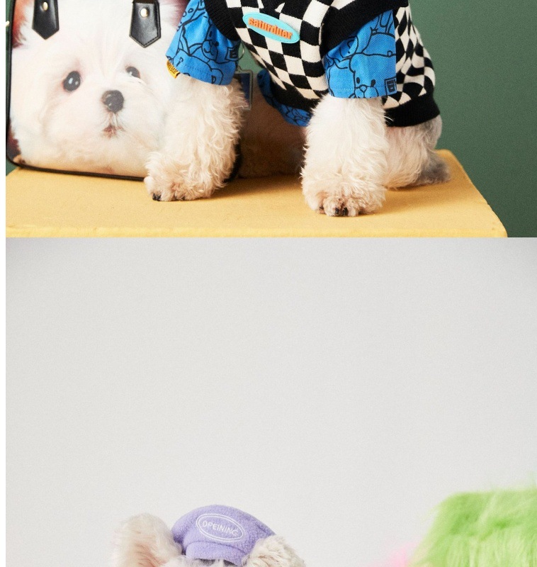 539878da-fb63-46b7-92c1-074d18f572bd.jpe