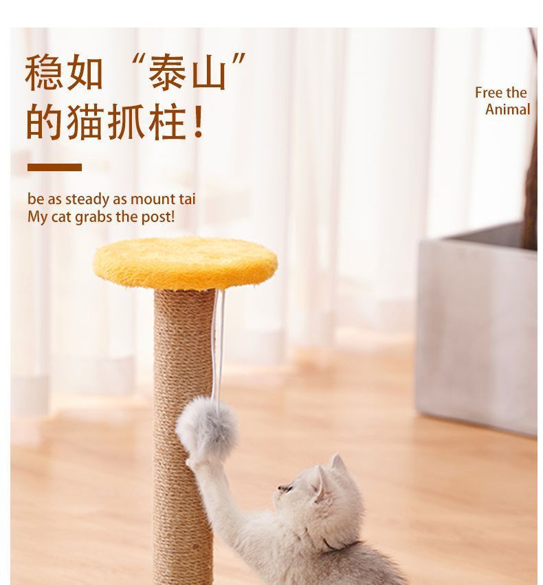 b0cd2828-3941-4c4f-850c-33a792787bb9.jpe