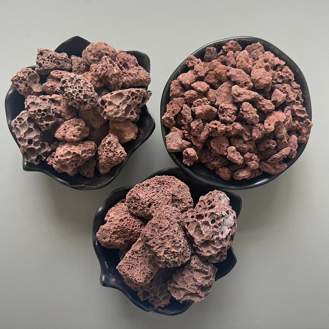 微信图片_20231025094439