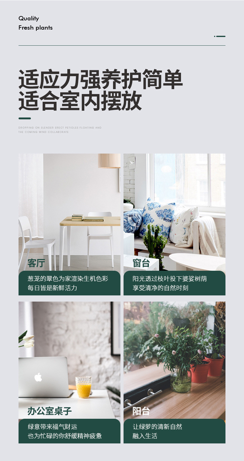 24ad50ab-f26f-40a6-88cf-7c2100c3b7e5.jpe