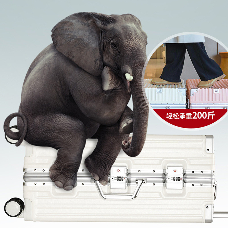 9cfd458d-a762-43ef-9521-08039ad74899.jpe