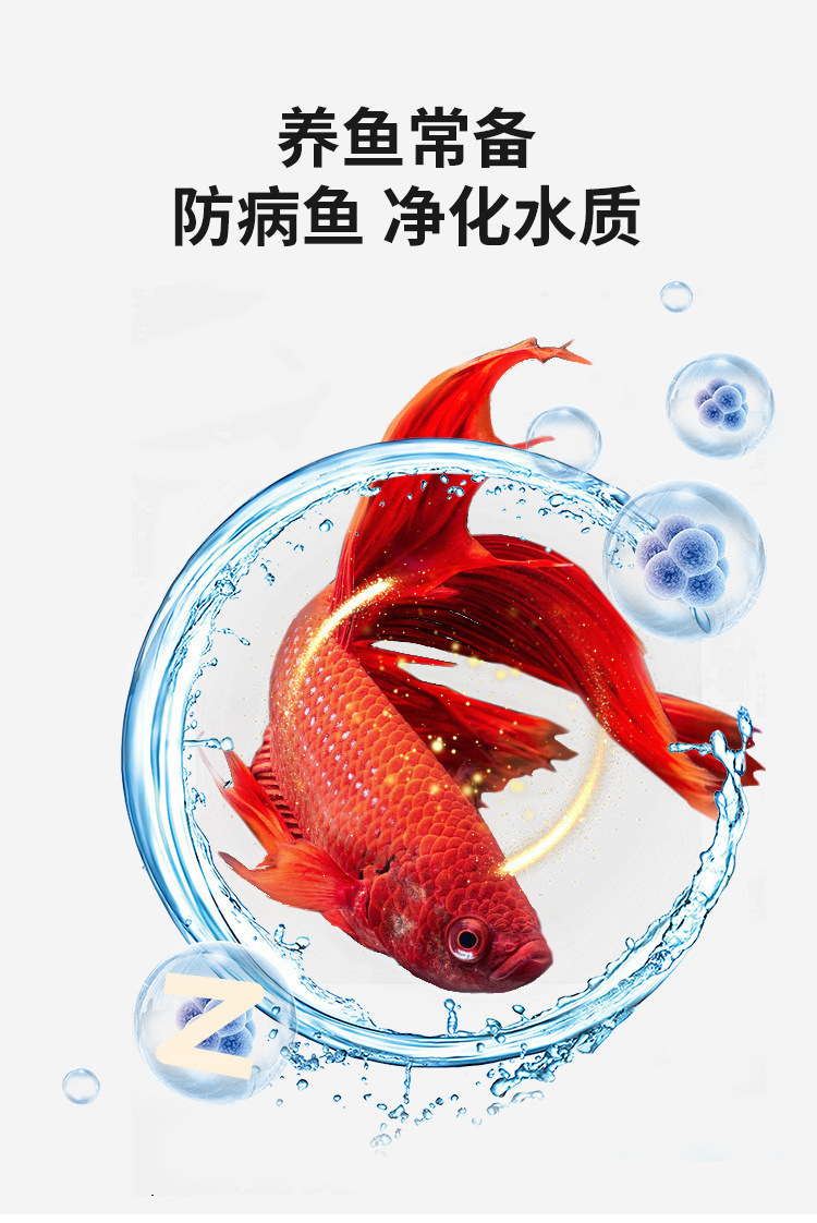 4ad30fe6-a2e2-466d-b2ad-fff17b2eb14d.jpe