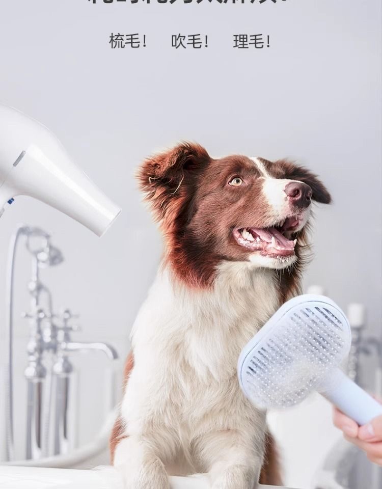 d77c2f37-2810-49c2-ae42-b1a5cdc1d048.jpe