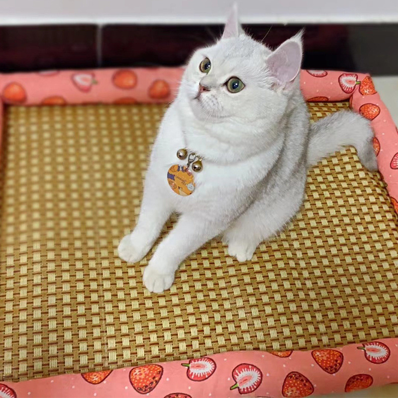 96dfd51c-dacf-4487-872b-74412585435f.jpe