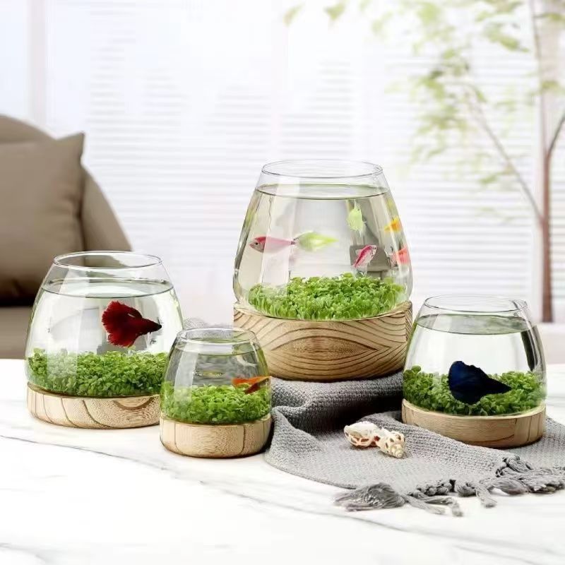 94e9b15f-2202-42f3-92a1-3fc7c268af25.jpe