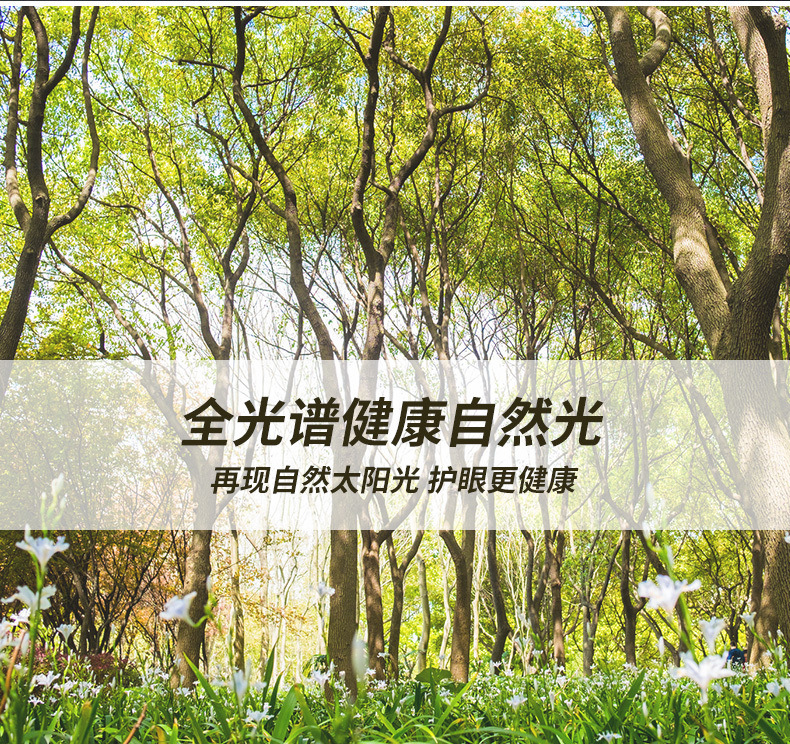 e0d8a271-b9b2-4321-ad44-d53e015167d9.jpe