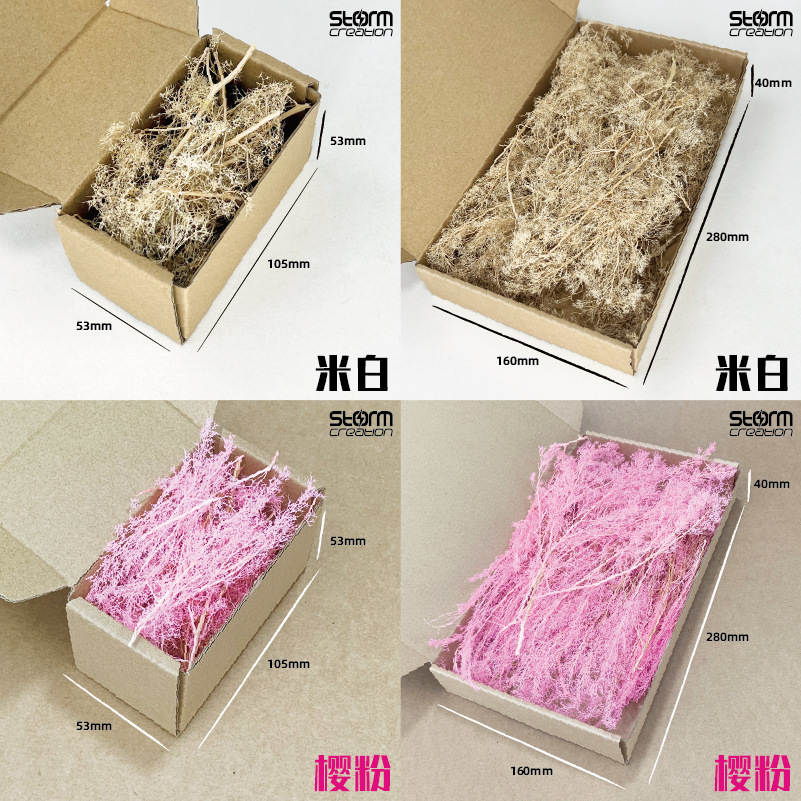 118 著色3a 800x800.png