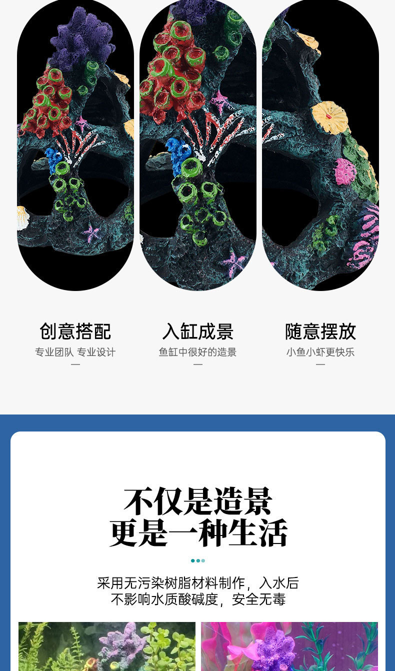 xin_05.jpg