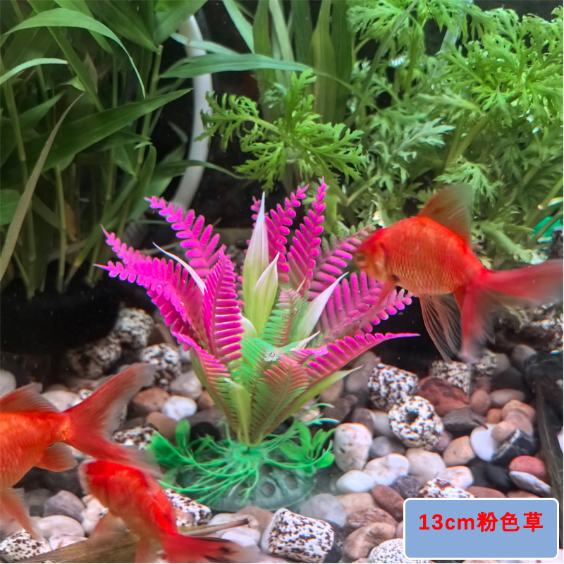 微信图片_2025-08-10_102743_992