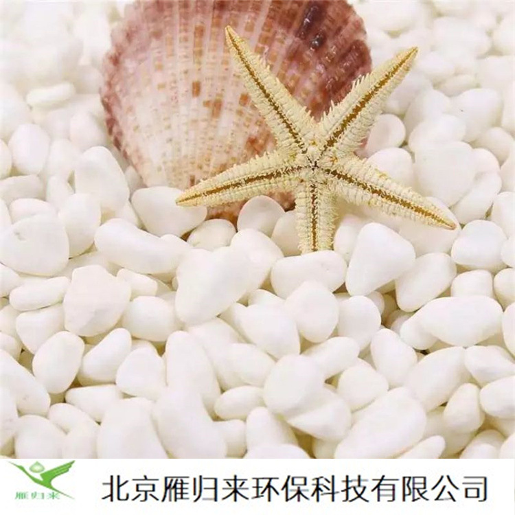 白色卵石