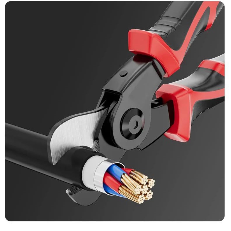 2025-02-06 17:22:03.jpg