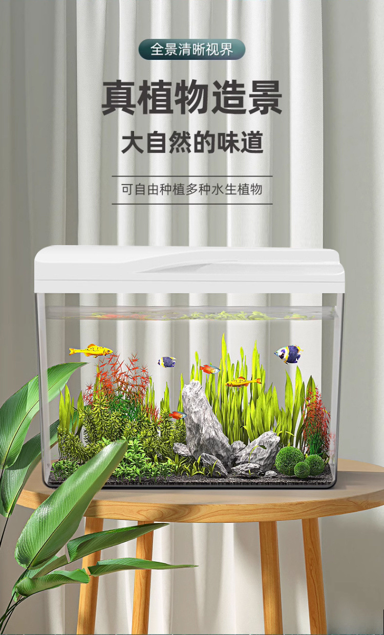 4152e12a-812e-49ac-bfd8-23ff08c52d7f.jpe