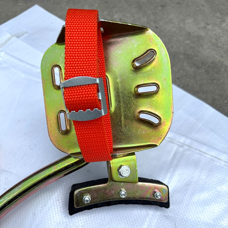 379496349ce7bee5a623258974fdf5