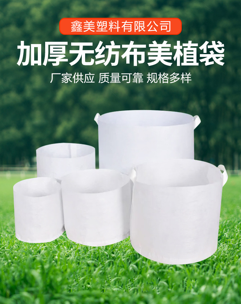 详情_01.jpg