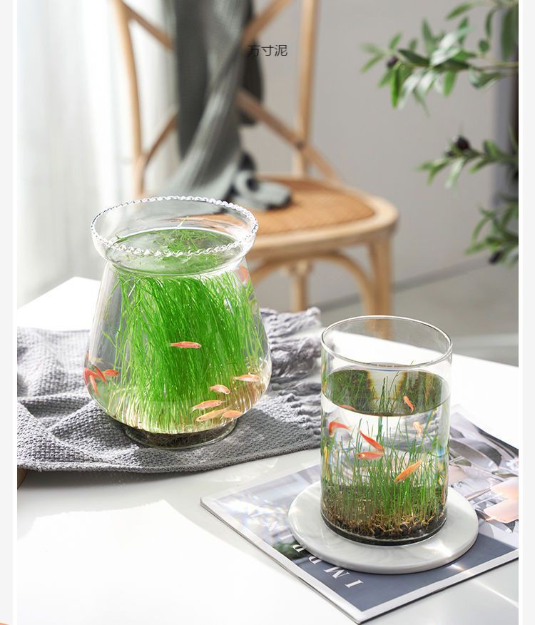 90bb538d-9e89-41b9-a7ff-2ea4877ff729.jpe