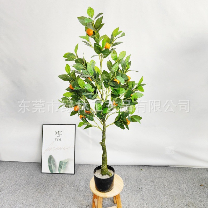 84cfdd2bf225ca707a534109b9d710