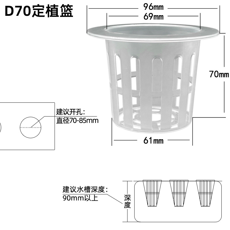 70孔定植篮主图1.jpg