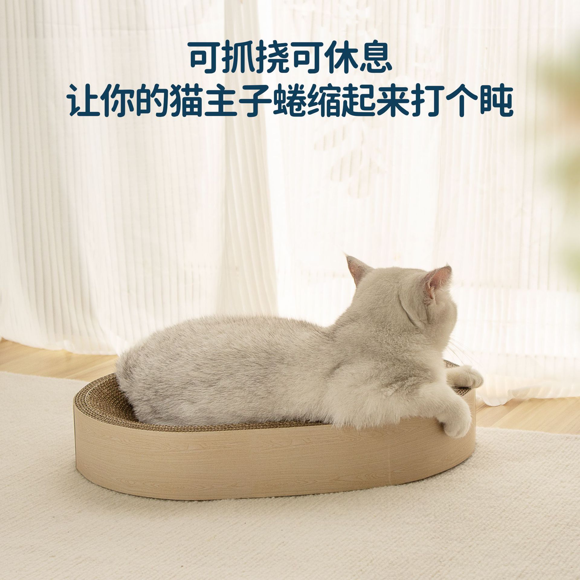 功能 中