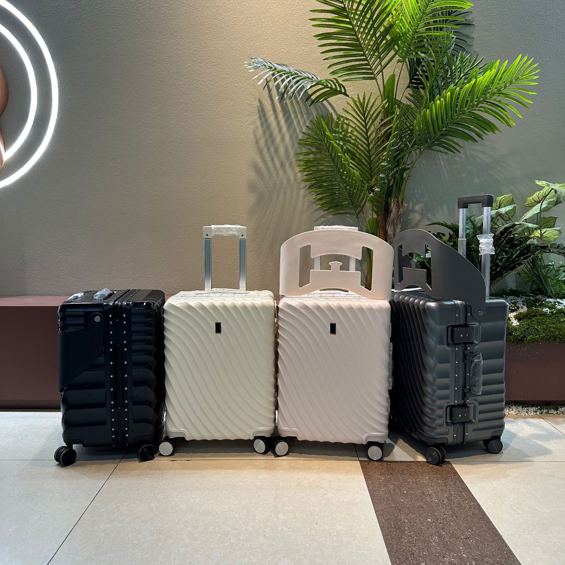 微信图片_20241229152825