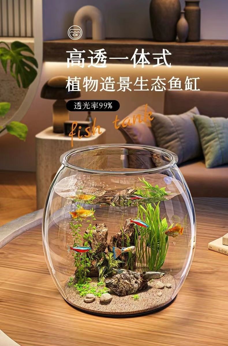 c2ec3524-63c0-4a3a-a445-cbc08ff446da.jpe