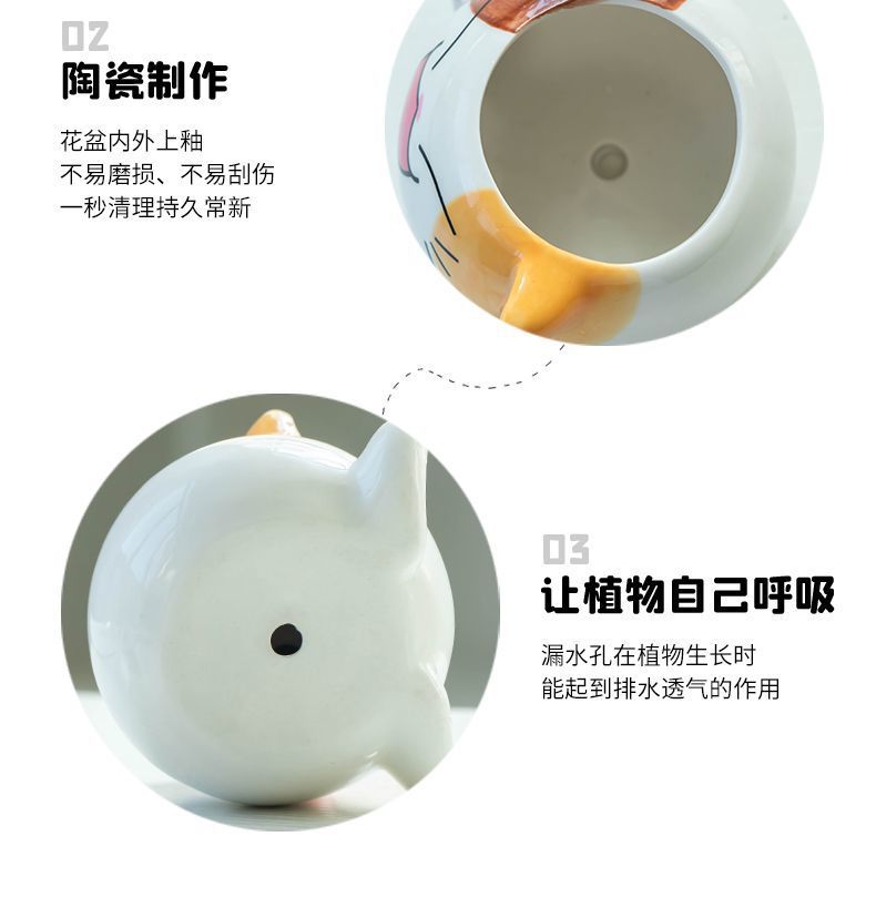 3147a89c-8886-438e-adca-73aaf5332e70.jpe