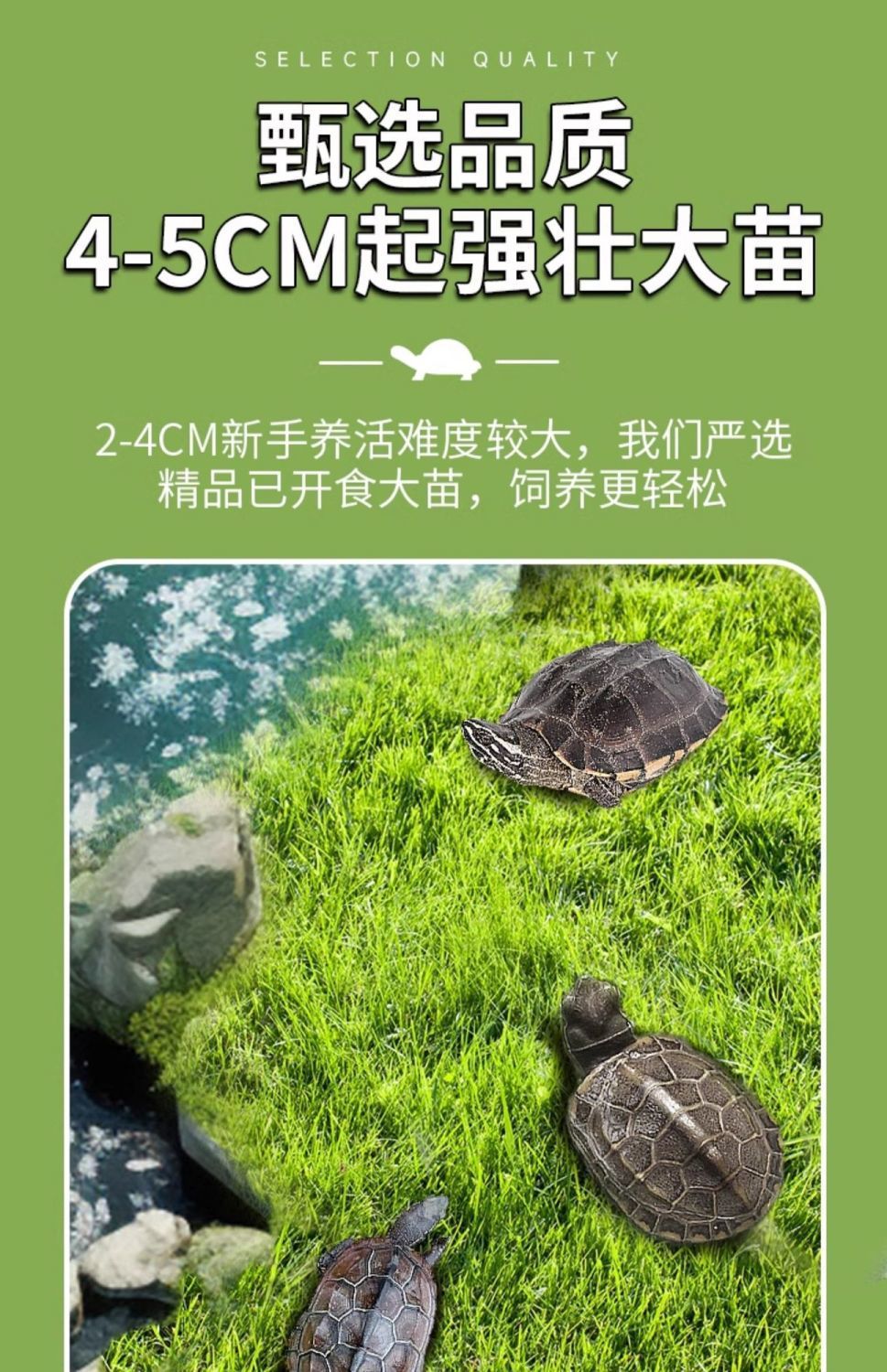c7ff24e6d668b7846bd66b00a4103205.jpeg