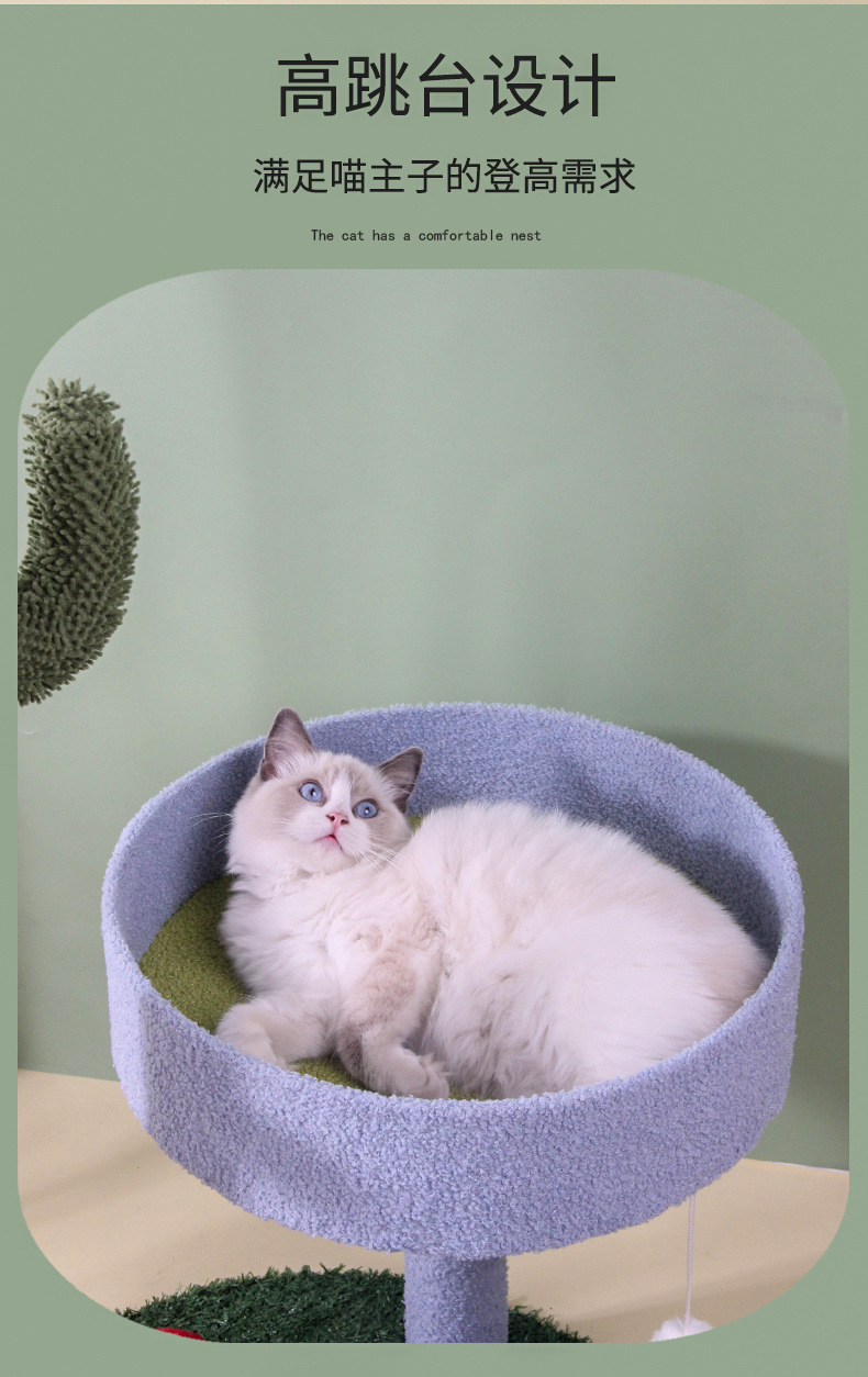 6f118fe6-5923-41ed-bdda-a4f07881b446.jpe