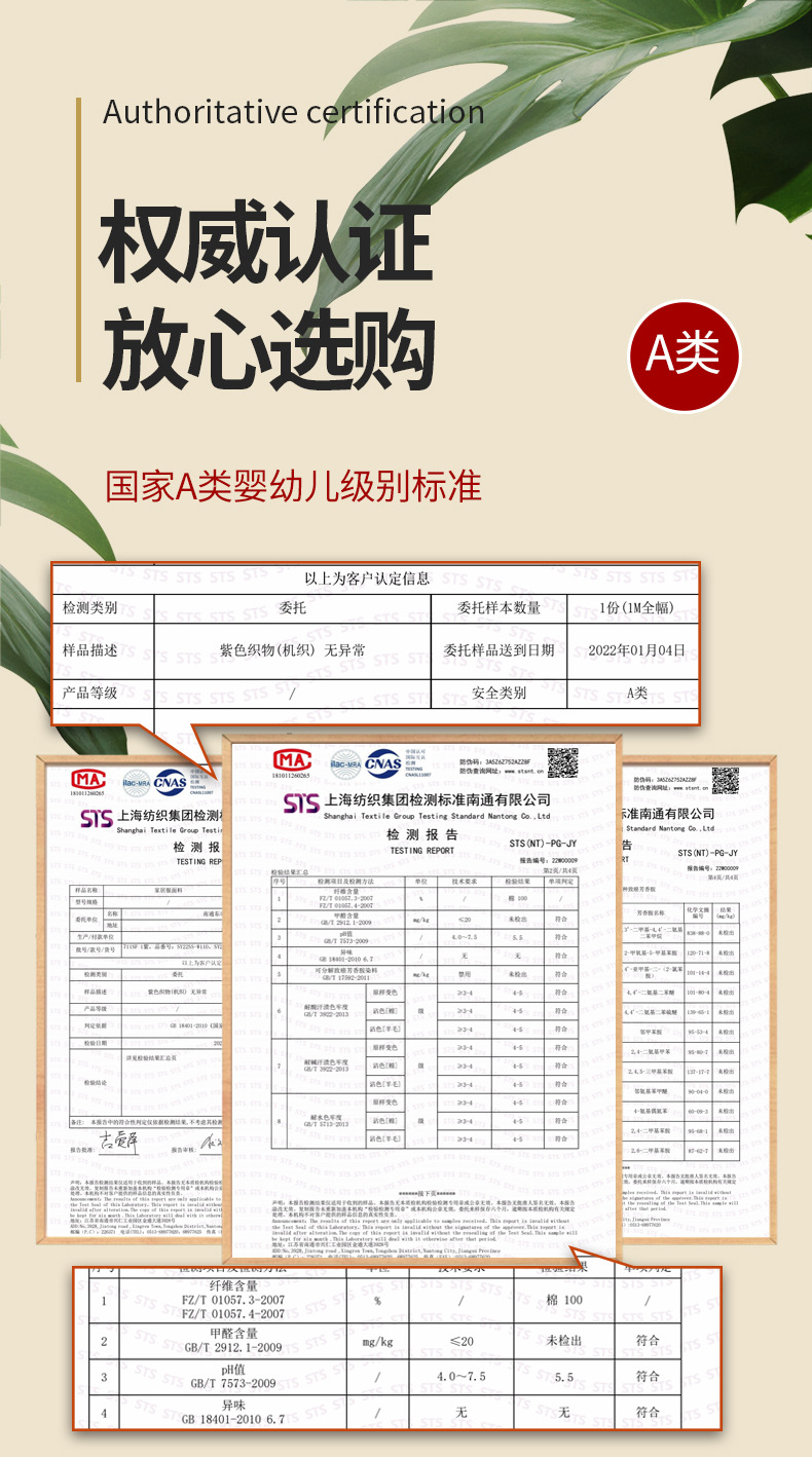 A类检测报告