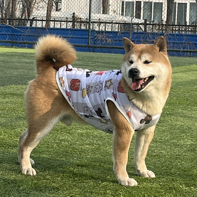 微信图片_20230210222534_副本.jpg