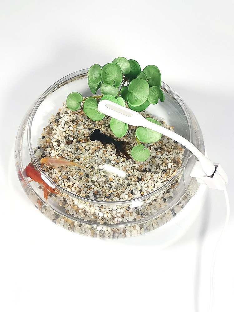 546e95cd-3523-4b91-a20d-9bfd309e7943.jpe