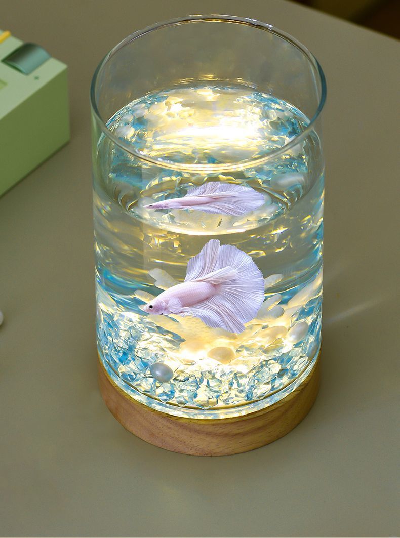 ef169628-c3da-4046-8de9-773782d20ea4.jpe