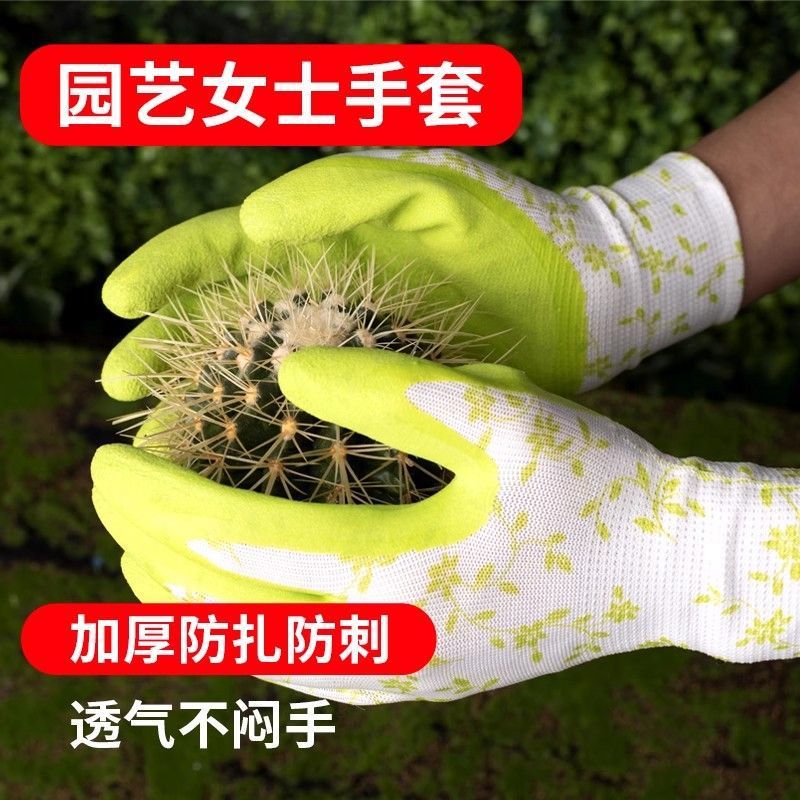 14c86ed0-0d7b-4cfb-bee6-f7e21dd7b10d.jpe