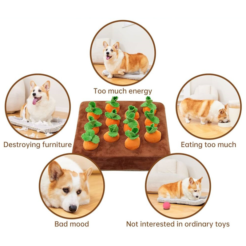 微信图片_20240731131939_副本