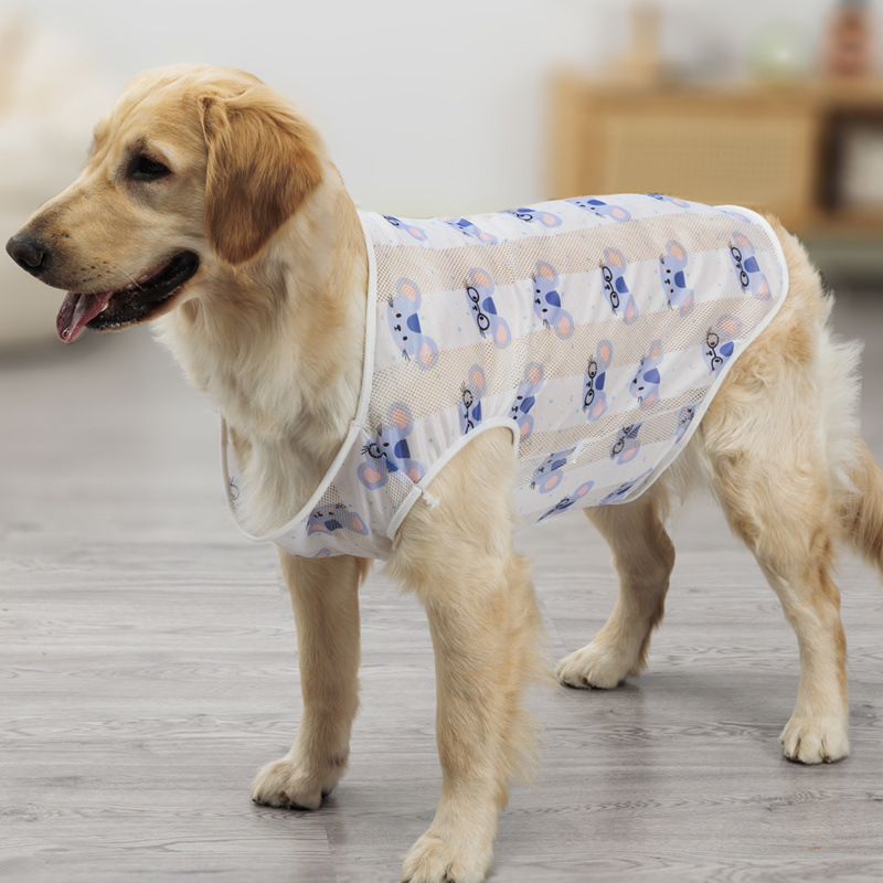 2d1c8bcf-81d2-403b-9a35-20837f052050.jpe