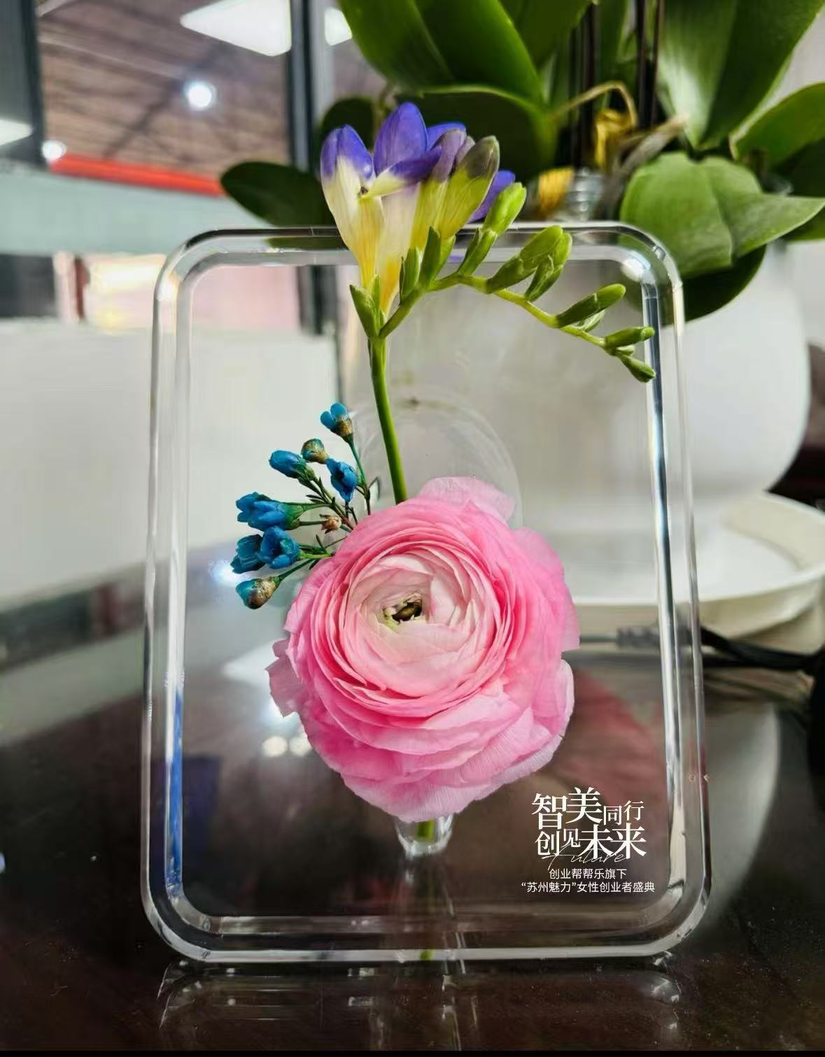 373900a6f58b69db9f9726aa3a8c5c