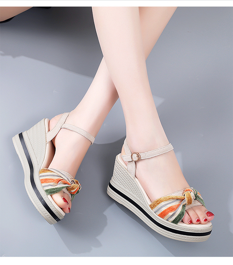 详情_13.jpg?x-oss-process=image/format,png