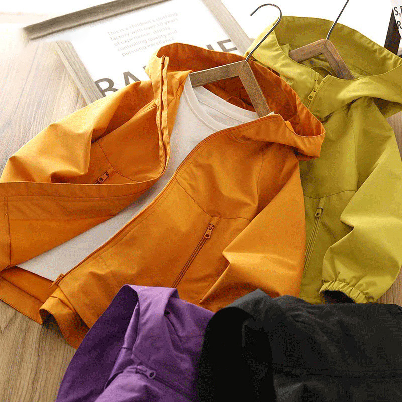 05d44258-2379-4b80-87d8-9e0e9b067dbf.jpe