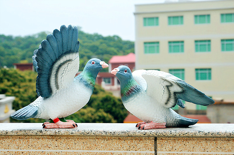 DSC_0033_副本.jpg